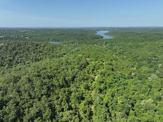 0 County Road 630, West Bridges Township, MO 65655
