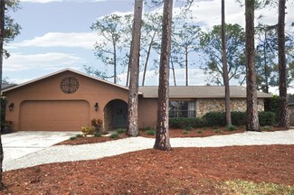 3430 Tarpon Woods Blvd, Palm Harbor, FL 34685