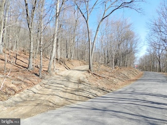 18.87 Acres Elbinsville Rd NE, Flintstone, MD 21530