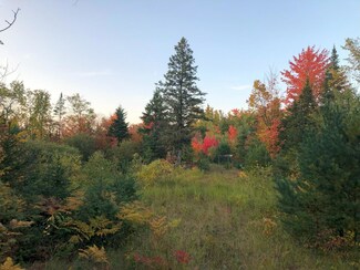 ON Cth G Unit 18.9 Ac, Mercer, WI 54534