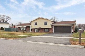 10535 S Sun Valley Ct, Palos Hills, IL 60465
