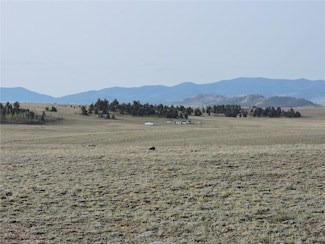 122 Bandelier Ct, Hartsel, CO 80449