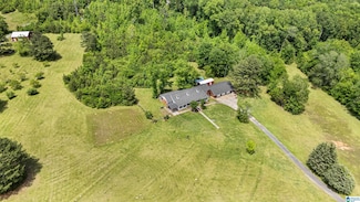 390 Chamblee Ln, Warrior, AL 35180