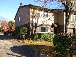 316 E Rimini Ct Unit 316, Palatine, IL 60067