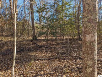 0 Butler Rd, Choudrant, LA 71227