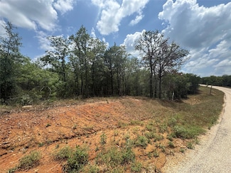 Lot 16 Hailey Ln, Dale, TX 78616