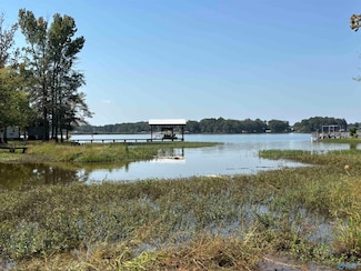 93A Spring Creek Campground, Centre, AL 35960