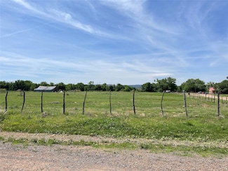 1132 Dilia Loop Co Rd 4k, Dilia, NM 87724