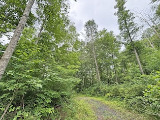 3727 Judson Rd, Alderson, WV 24910