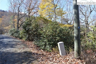 Lot #4 Mountain, Sparta, NC 28675