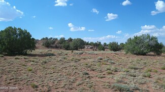 4 Concho Dr, Concho, AZ 85924