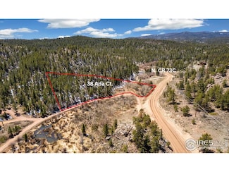 38 Ada Ct, Red Feather Lakes, CO 80545