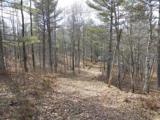 4519 Running Bear Ln, Harshaw, WI 54529
