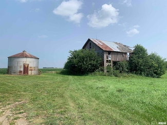1817 Bell Plain Rd, Bell Plain Township, IL 61369
