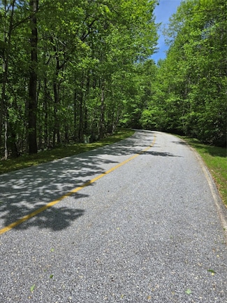 Lot 25 Panther Ridge Rd, Lake Toxaway, NC 28747