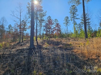 2195 Inlet Shore Rd NE, Valdese, NC 28690