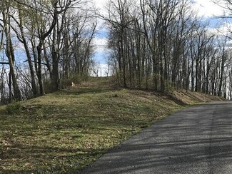Lot 117 Withrow Landing, Caldwell, WV 24925