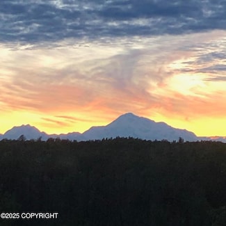 16111 E Nosey Ave, Talkeetna, AK 99676