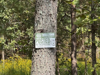 1250 Ashby Rd, Centertown, KY 42328