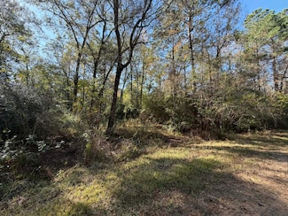 Lot 8A Private Road 2055, Liberty, TX 77564