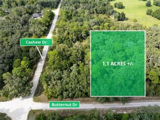 0 Butternut Dr Unit MFRTB8321916, Webster, FL 33597