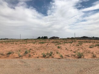 14298 Simpson Rd, Clint, TX 79836