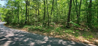 Lot #006 Trickey Pond Rd, Naples, ME 04055