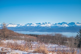 L2 Hutler Rd, Fritz Creek, AK 99603