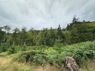 2 N Dubois Rd, Ariel, WA 98603
