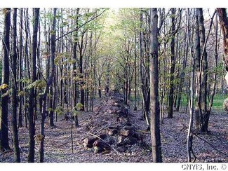 0 Richards Way, Parish, NY 13131