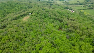 000 Blackberry Hills Rd, Bloomsdale, MO 63627