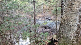 lot 11 Fox Run Rd, Mariaville, ME 04605