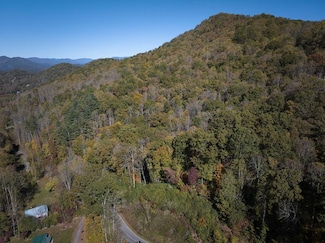 0 Treehouse Rd Unit 26042720, Whittier, NC 28789