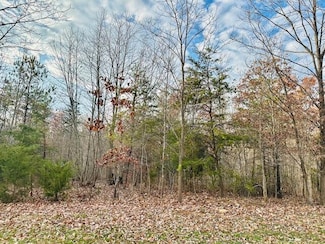 Lot 8 Waterford Dr, Moneta, VA 24121