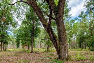 Crestview Rd, Arlington, GA 39813