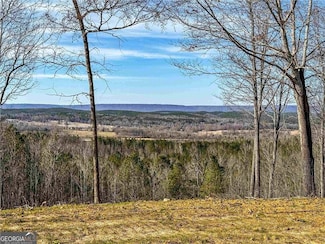 0 Back Berryton Rd Unit 7602712, Summerville, GA 30747