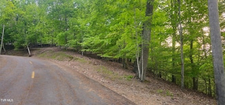 1445 Echota Ln, Mooresburg, TN 37811