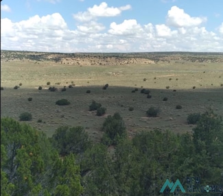 1587 New Mexico 36, Fence Lake, NM 87315