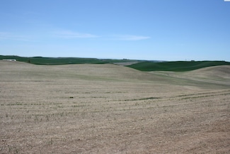 31 Golden Wheat Ln, Pullman, WA 99163