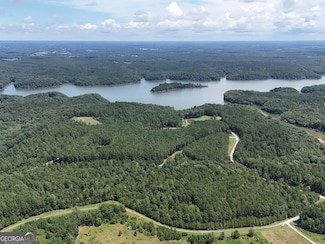 0 Jacks Hat Rd Unit 10597905, Elberton, GA 30635