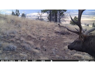 0 Fs Rd 613 Unit 781897541, Johnday, OR 97845