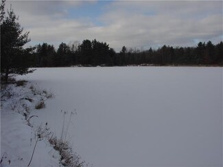 0 Phillips Creek Rd Unit B401596, Amity, NY 14813