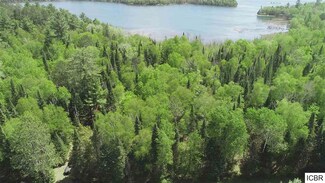 3303 Becker Rd, Bigfork, MN 56628
