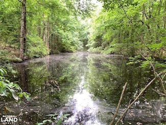 0 Vista Road and Highway 261, Manning, SC 29102
