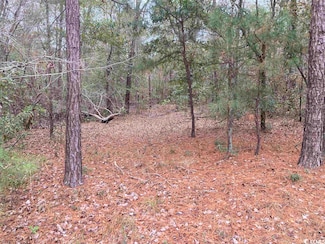 TBD Persimmon Ford Rd, Johnsonville, SC 29555