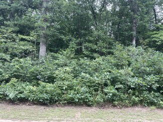 0 Macdougall Dr Unit 21027204, Valley Township, MI 49010