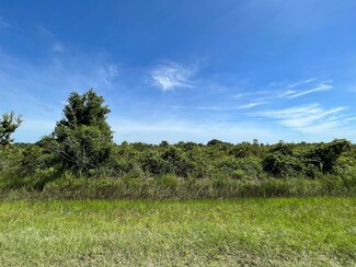16631 NW 262nd St, Okeechobee, FL 34972