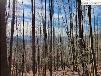6900 Mertie Rd, Wilbar, NC 28651