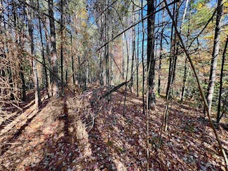 0 Right of Way Rd, Beecher, WI 54156