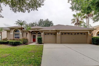 10211 Thicket Point Way, Tampa, FL 33647